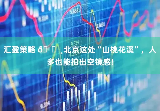 汇盈策略 🌸北京这处“山桃花溪”，人多也能拍出空镜感!